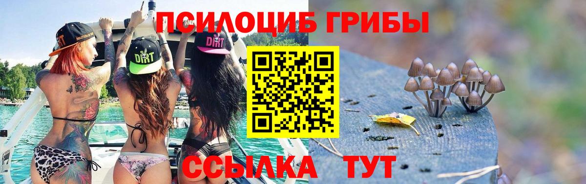 Псилоцибиновые грибы мицелий Лениногорск